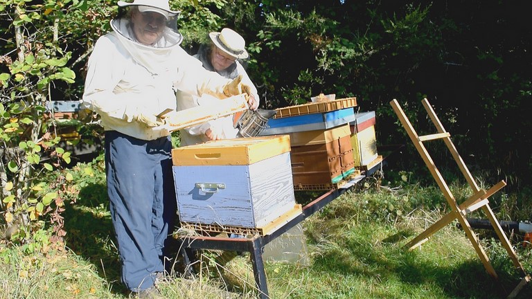 récolte de notre miel en rayon