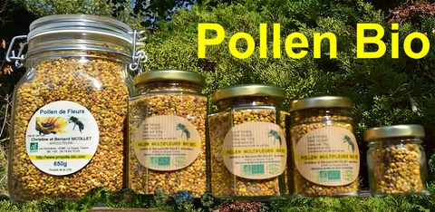 Vertus et bienfaits d'un bon pollen biologique